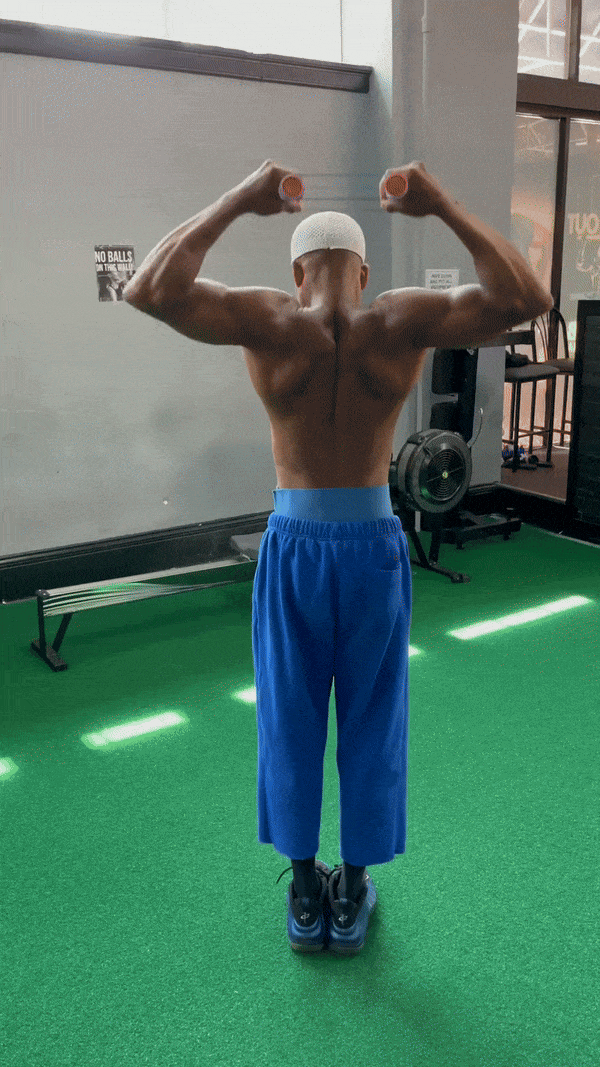 FREE RipStick Bundle INCLUDED ( Sets of Bands + Muscle Building Program + User Guide )